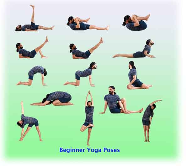 back  yoga positions beginner thebrilliantyogasystem.com beginner poses  yoga for